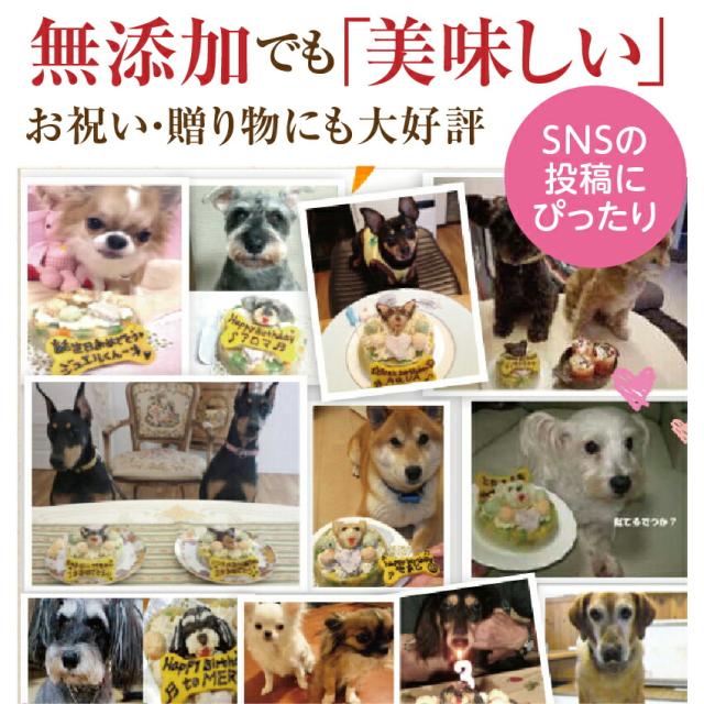 犬用 似顔絵 ケーキ 鶏肉 ギャートルズの肉 犬 誕生日ケーキ 無添加 送料無料 の通販はau Pay マーケット 犬のご飯とケーキ のドッグダイナー