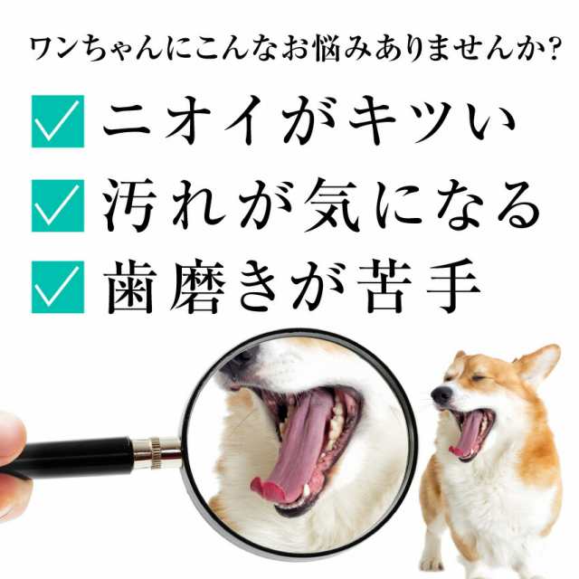 犬 猫の歯石 歯垢 口の臭いに 食べる歯磨き革命 お試し 歯磨きが苦手な犬用 無添加 サプリ メール便 送料無料 の通販はau Pay マーケット 犬のご飯とケーキのドッグダイナー