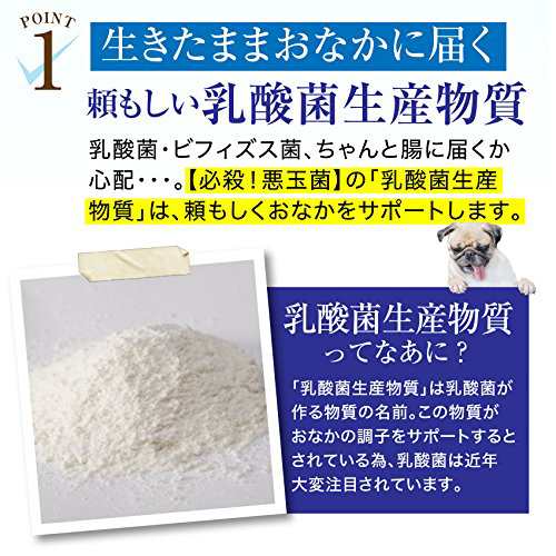 犬 ペット用 乳酸菌 腸 サプリ 必殺 悪玉菌 無添加 送料無料 の通販はau Pay マーケット 犬のご飯とケーキのドッグダイナー