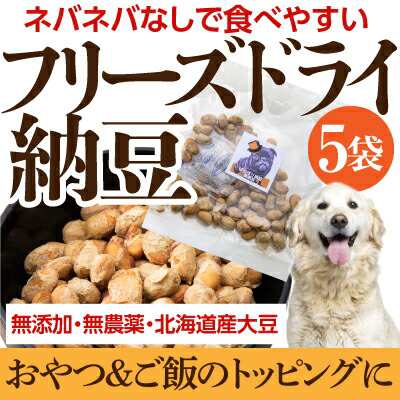 犬 納豆 おやつ フリーズドライ納豆 5袋 無添加 国産 通常便 の通販はau Pay マーケット 犬のご飯とケーキのドッグダイナー