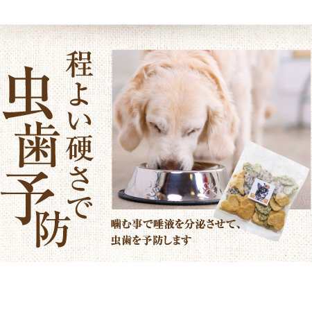 犬 歯磨き おやつ 歯に良いせんべい 5袋 無添加 国産 通常便 の通販はau Pay マーケット 犬のご飯とケーキのドッグダイナー