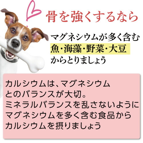犬 猫 無添加 おやつ 関節に 正しいカルシウム ジャーキー 国産 通常便 送料無料 の通販はau Pay マーケット 犬 のご飯とケーキのドッグダイナー