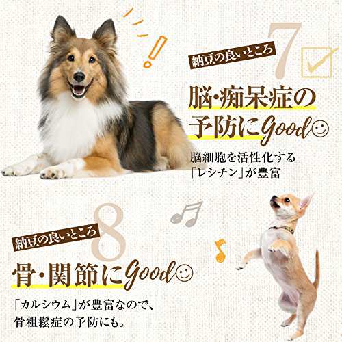 犬 納豆 おやつ フリーズドライ納豆 5袋 無添加 国産 通常便 の通販はau Pay マーケット 犬のご飯とケーキのドッグダイナー