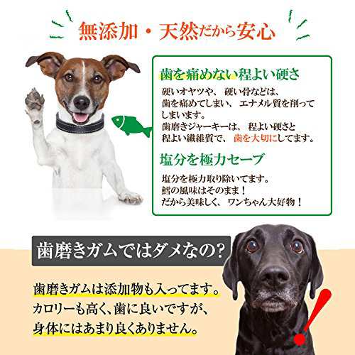 犬 猫 無添加 おやつ 歯磨き ジャーキー 鱈 歯石 歯垢に 国産 通常便 の通販はau Pay マーケット 犬のご飯とケーキのドッグダイナー