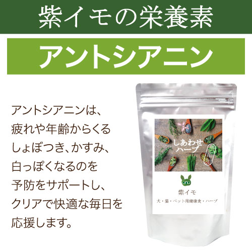 ペット 犬用 肝臓 目に ハーブ 紫芋 g 無添加 国産 送料無料 の通販はau Pay マーケット 犬のご飯とケーキのドッグダイナー