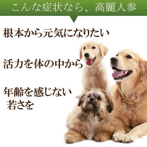 犬 ハーブ しあわせ ハーブ 高麗人参 六年根 10g 粉末 有機 国産 無添加 粉末 メール便 送料無料 の通販はau Pay マーケット 犬 のご飯とケーキのドッグダイナー