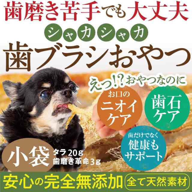 犬 猫 歯石 歯垢 口臭に無添加 食べる 歯ブラシ 革命 小袋 サプリのような歯磨き おやつ 通常便 の通販はau Pay マーケット 犬 のご飯とケーキのドッグダイナー