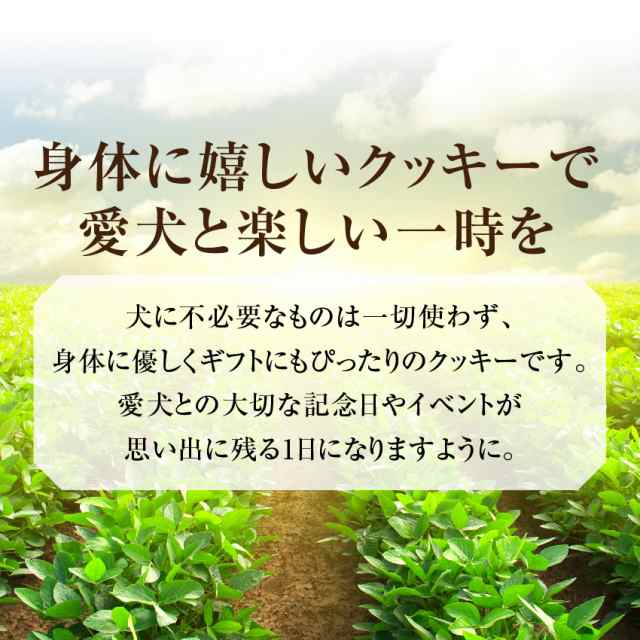 犬用 無添加 おやつ ハロウィン クッキー ３枚入 無添加 国産 ハロウイン お菓子 冷凍配送 の通販はau Pay マーケット 犬 のご飯とケーキのドッグダイナー