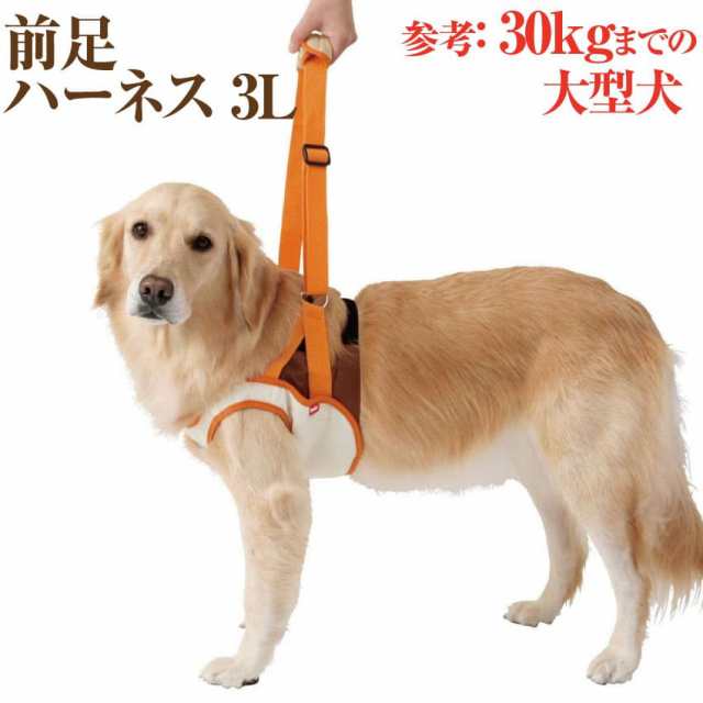 歩行補助 前足 ハーネス 3l 犬の介護 老犬介護用の前足用 胴輪 ペティオ 大型犬の通販はau Pay マーケット 犬 のご飯とケーキのドッグダイナー