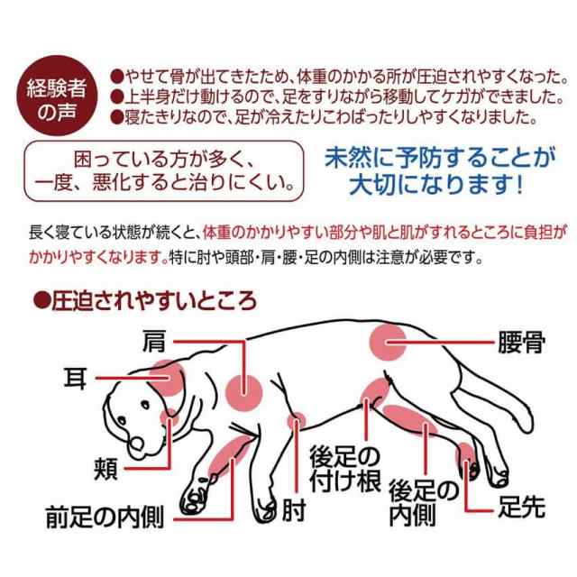 犬の床ずれ予防 床ずれ サポーター S４個入り 犬介護 老犬介護用 老犬 高齢犬 シニア犬 ペティオの通販はau Pay マーケット 犬 のご飯とケーキのドッグダイナー