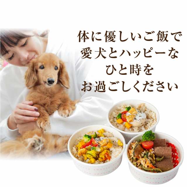 犬 手作りご飯 犬用 お子様ランチ ごはん ３個 無添加 国産 冷凍 の通販はau Pay マーケット 犬のご飯とケーキのドッグダイナー