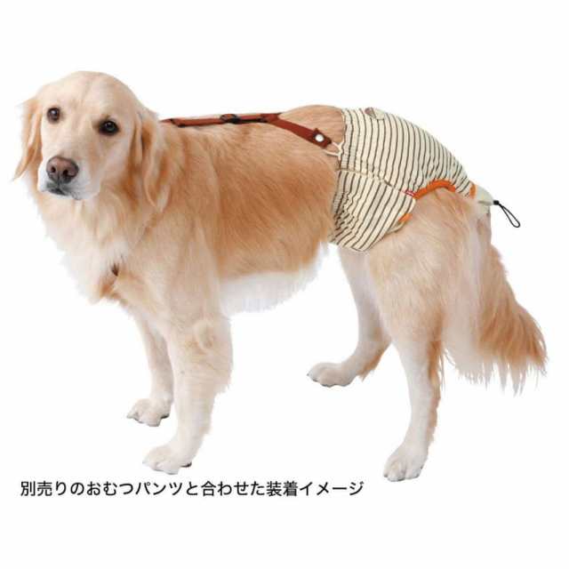 犬用 おむつパッド 3l ペティオ おむつパンツ 専用 老犬介護 生理 サニタリー 用 おむつの通販はau Pay マーケット 犬 のご飯とケーキのドッグダイナー