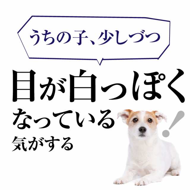 犬 涙焼けのケア おやつ 目に良いせんべい 5袋 無添加 国産 通常便 の通販はau Pay マーケット 犬のご飯とケーキのドッグダイナー