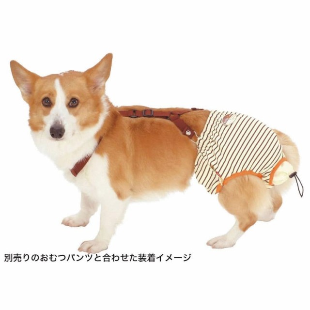 犬用 おむつパッド L ペティオ おむつパンツ 専用 老犬介護 生理 サニタリー 用 紙おむつの通販はau Pay マーケット 犬 のご飯とケーキのドッグダイナー