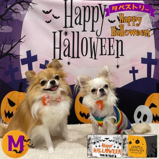 ハロウィン 飾り タペストリー 背景布 150x130cm かぼちゃ 装飾 仮装 犬 猫 ペット 子供 パーティー /ハロウィーン タペストリーM