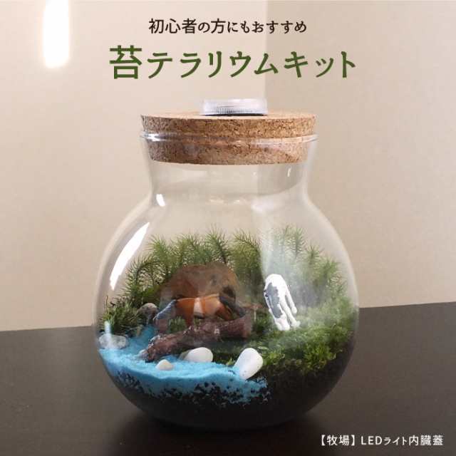 牧場/LEDライト内臓蓋】苔テラリウム 苔リウム コケリウム 盆栽 苔 手作り キット 巣ごもり おうち時間 ガーデニング 観葉植物 園芸 癒し  ギフト 誕生日 プレゼント 初心者 スターターキット【代金引換不可商品】【北海道・沖縄・離島への発送不可】の通販はau PAY ...