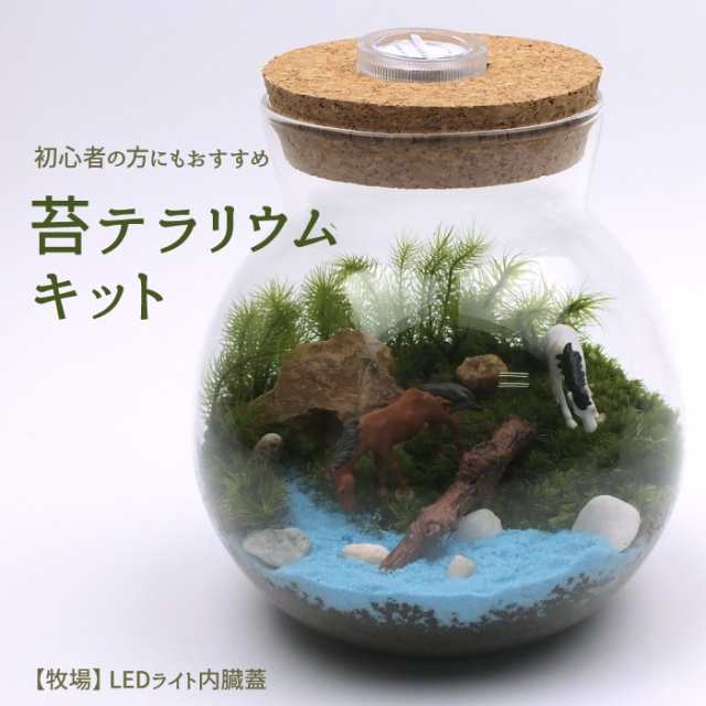 牧場/LEDライト内臓蓋】苔テラリウム 苔リウム コケリウム 盆栽 苔 手作り キット 巣ごもり おうち時間 ガーデニング 観葉植物 園芸 癒し  ギフト 誕生日 プレゼント 初心者 スターターキット【代金引換不可商品】【北海道・沖縄・離島への発送不可】の通販はau PAY ...