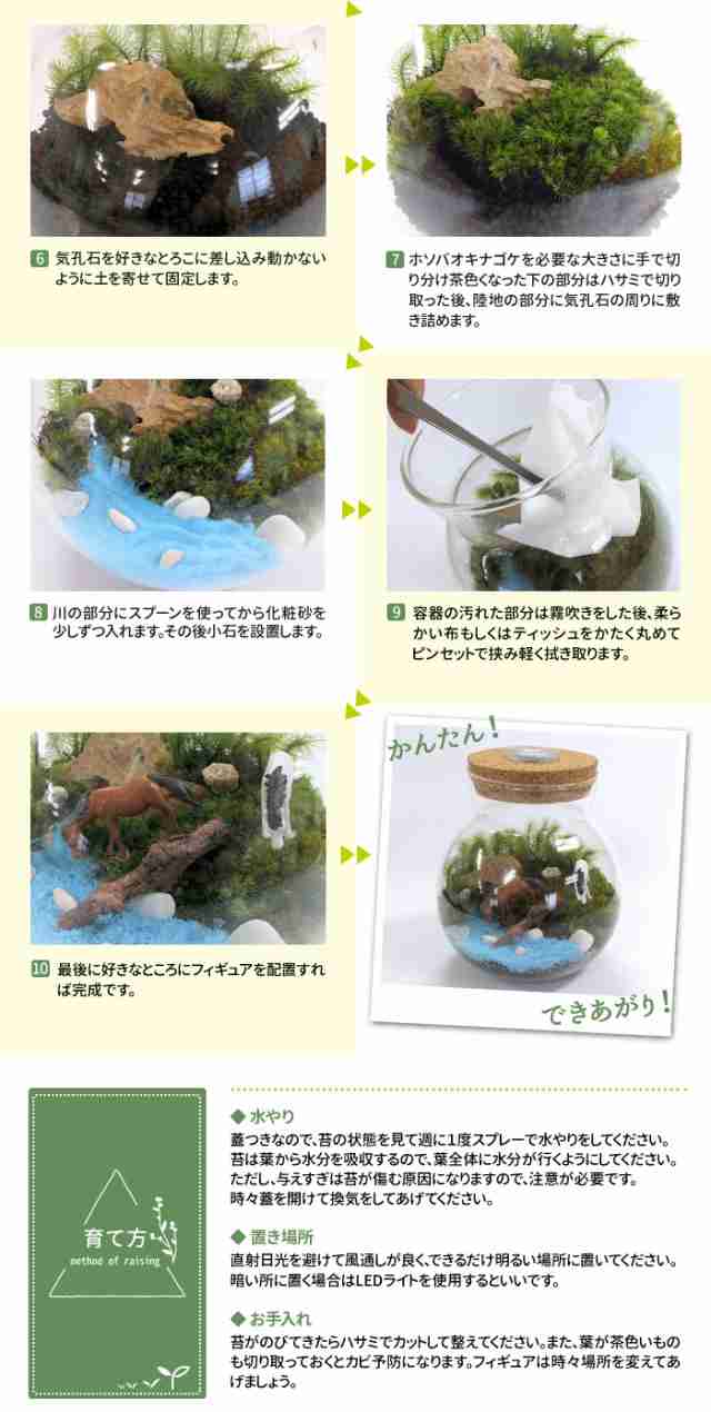 牧場/LEDライト内臓蓋】苔テラリウム 苔リウム コケリウム 盆栽 苔 手作り キット 巣ごもり おうち時間 ガーデニング 観葉植物 園芸 癒し  ギフト 誕生日 プレゼント 初心者 スターターキット【代金引換不可商品】【北海道・沖縄・離島への発送不可】の通販はau PAY ...