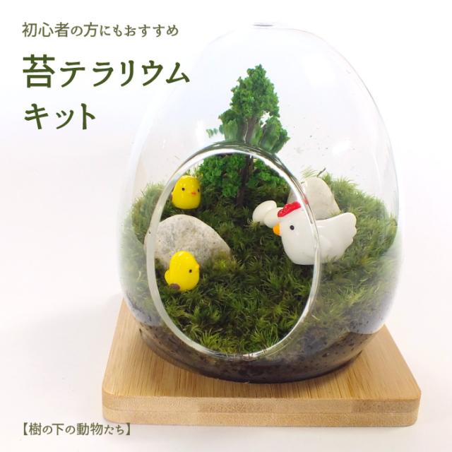 樹の下の動物たち 苔テラリウム 苔リウム コケリウム 盆栽 苔 手作り キット 巣ごもり おうち時間 ガーデニング 観葉植物 園芸 癒し の通販はau Pay マーケット カラダニラック