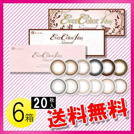エバーカラーワンデー ナチュラル 20枚入×6箱 / 送料無料 / メール便