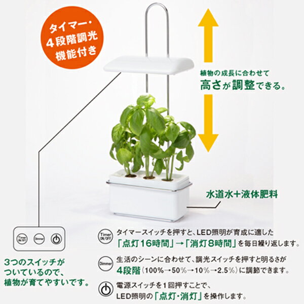 Led 水耕栽培器 灯菜 Akarina15 オリンピア照明 野菜栽培 家庭菜園 水耕栽培 植物 栽培 インテリアの通販はau Pay マーケット プロの道具屋さん Led 水耕栽培器 灯菜 Akarina15 オリンピア照明 野菜栽培 家庭菜園 水耕栽培 植物 栽培 インテリアの通販はau Pay マーケット プロの道具屋さん
