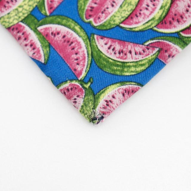 GUCCI グッチ スイカ シルク 青 ネクタイ メンズ 【中古】 ネクタイ