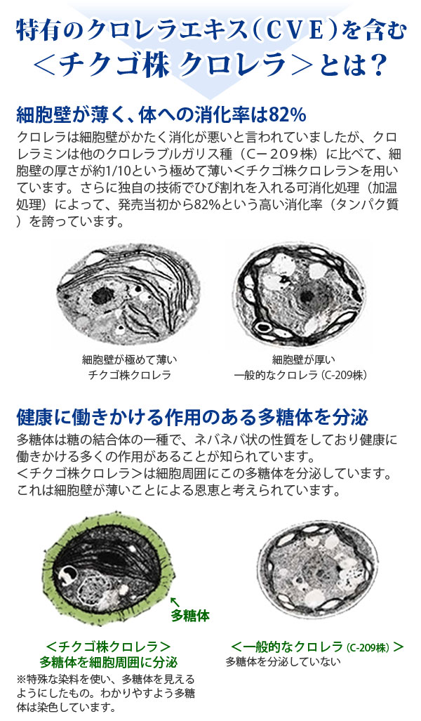 正規販売店 クロレラミンA 60ml×5本セット クロレラ工業 クロレラ