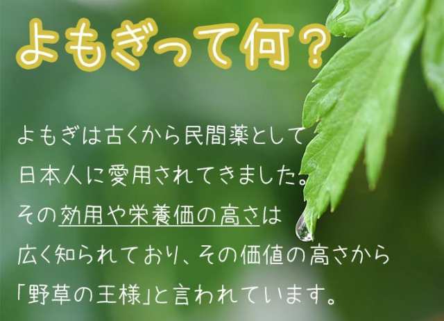 越後よもぎ茶 100g 50包入り×8箱セット ティーバッグ よもぎ本舗 国産 送料無料