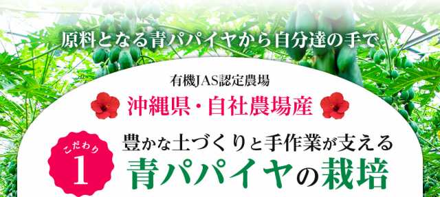 萬寿のしずく フレッシュパック 10ｍl×30本 熱帯資源植物研究所 EM発酵 萬寿の雫 健康飲料 送料無料の通販はau PAY マーケット -  WorldNEXT