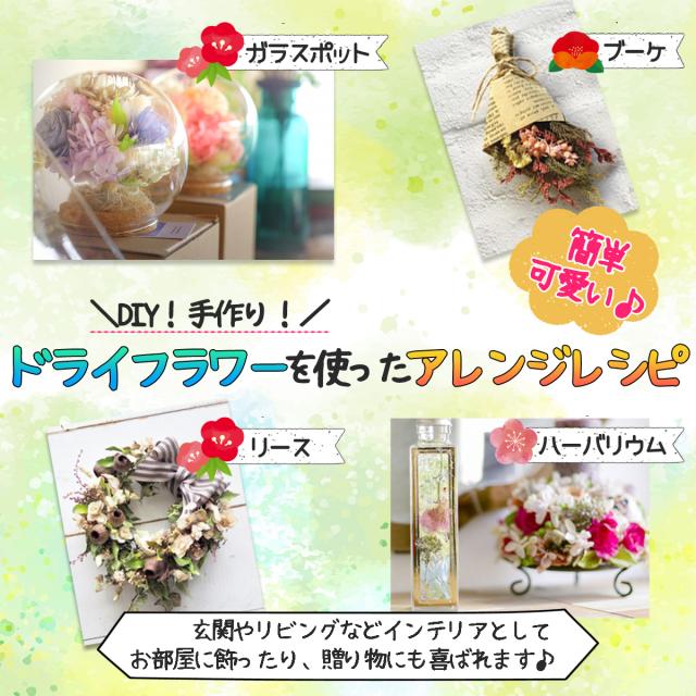 豊田化工 ドライフラワー用 シリカゲル 550g 24袋セット お試しサイズ 乾燥剤 除湿剤 湿気取り 脱酸素剤 Slica Gel 550g 繰り返し使える_3