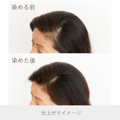 白髪染め ヘアカラー ヘナ+ハーブ 400g Naiad ナイアード 赤茶系