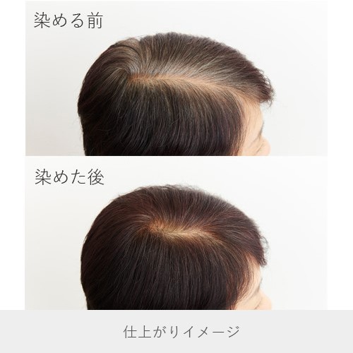 白髪染め ヘナ ヘアカラー 毛染め カラーリング 400g 2個セット 黒茶