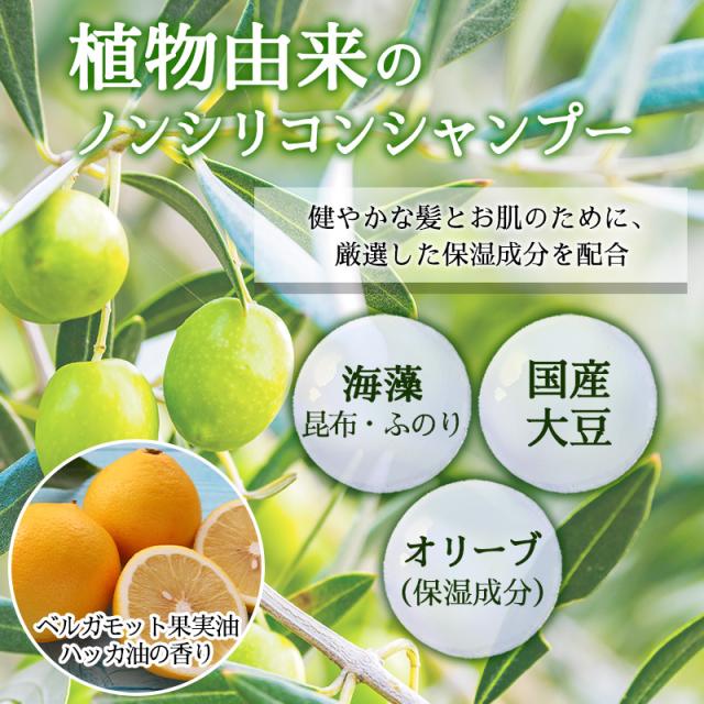 地の塩社 ロカヒストBMシャンプー 300ml ノンシリコンシャンプー 植物