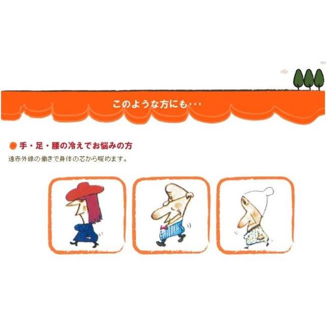 ハクキンカイロ ミニ 4個セット ハクキンウォーマー HAKKIN 懐炉
