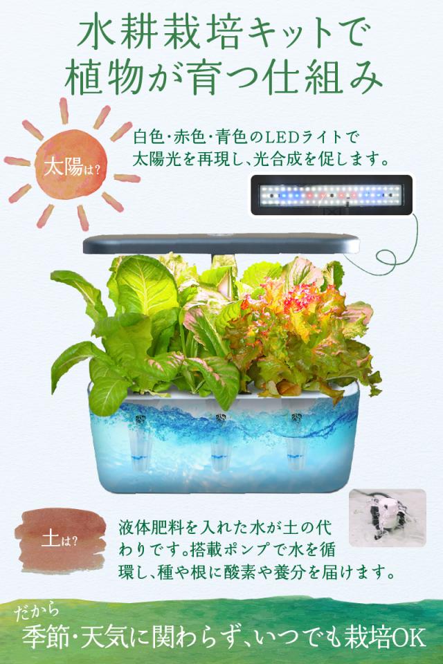 新品　水耕栽培キット 野菜栽培セット 室内用 植物育成LEDライト付き 楽天市場】水耕栽培キット スタイリッシュ コンパクト 水耕栽培