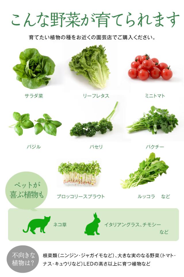 水耕栽培 キット セット 家庭菜園 プランター栽培 育苗 水耕栽培キット 植物 水中ポンプ搭載 植物育成LEDライト付き 野菜栽培セット プレゼント_9
