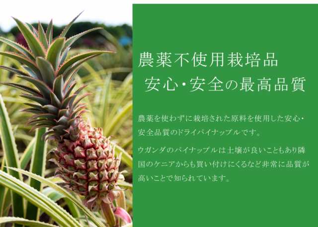 安心 安全品質 純粋ドライパイナップル ８０g 農薬不使用 ドライフルーツ ドライパイナップル ドライパイン パインアップル 砂糖不使用の通販はau Pay マーケット オーガニック ナチュラルのお店サンタローサ