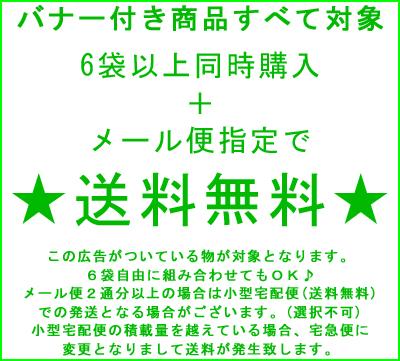 最高品種 エキナセア10g 有機エキナセア使用 エキナセア パーピュリア エキナセア パープレア ハーブ ハーブティー フェアトレードの通販はau Pay マーケット オーガニック ナチュラルのお店サンタローサ