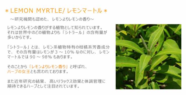 有機レモンマートル リーフティーg Or ティーバッグ1 1g 12個 有機jas認証 オーガニック レモンマートルティー レモンティー スパイスの通販はau Pay マーケット オーガニック ナチュラルのお店サンタローサ