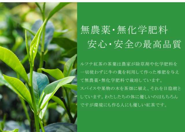 送料無料 安心 安全品質 ルフナ紅茶 茶葉400ｇ 農薬不使用 無化学肥料 ルフナティー ストレートティー アイスティー ミルクティー の通販はau Pay マーケット オーガニック ナチュラルのお店サンタローサ