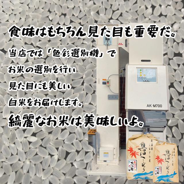 【極上絶品】南魚沼産コシヒカリしおざわ米 白米5kgクラフト袋　令和７年産　送料無料　御歳暮・御年賀　贈り物　熨斗_12