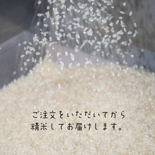 【極上絶品】南魚沼産コシヒカリしおざわ米 白米5kgクラフト袋　令和７年産　送料無料　御歳暮・御年賀　贈り物　熨斗_9