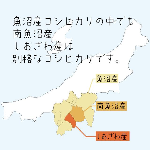 【極上絶品】南魚沼産コシヒカリしおざわ米 白米5kgクラフト袋　令和７年産　送料無料　御歳暮・御年賀　贈り物　熨斗_1