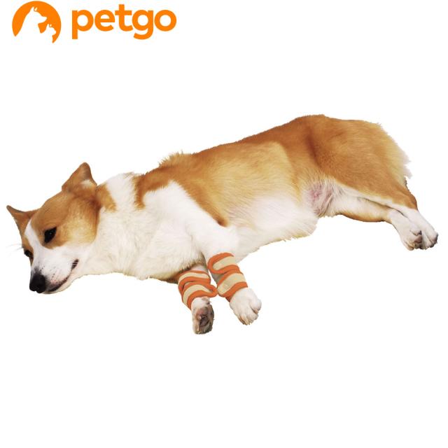 ペティオ Zuttone ずっとね 老犬介護用 床ずれ予防サポーター 中 4個入の通販はau Pay マーケット ペットゴー Au Pay マーケット店