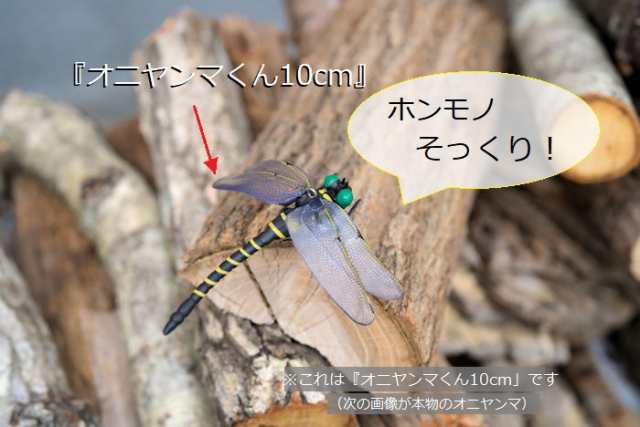 虫除け『オニヤンマくん10cm』3通りの付け方「クリップ・吊下げ・安全ピン」キャンプなどアウトドア活動に 虫よけ オニヤンマ キャンプ 虫刺され防止  お守り 虫避け 虫対策おもちゃ 釣り フィギュア 登山 渓流釣り とんぼ トンボ アブ ハチ ブヨ ハエ 虻 蜂 蚊の通販はau ...