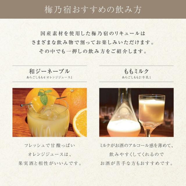 梅乃宿 あらごしレモン 1800ml 1.8L 6本セット 1ケース リキュール 果実酒 梅の宿 奈良県 送料無料 北海道 沖縄は送料1000円_5