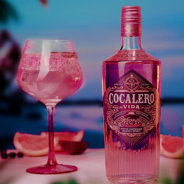 COCALERO VIDA コカレロ　ヴィーダ　700ml×6本 Amazon.co.jp: コカレロ ヴィーダ Cocalero Vida ［リキュール