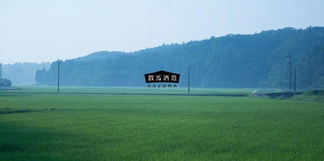 数馬酒造 竹葉 能登純米 1.8L 1ケース6本入り 石川県 地酒 日本酒 清酒 送料無料 北海道 沖縄は加算 1800ml 日本酒