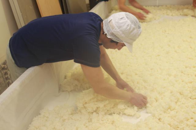 蔵元直送 奥飛騨 辛口純米酒 1800ml 1.8L×6本 1ケース 送料無料 北海道 沖縄は送料1000円加算 代引不可 同梱不可 日時指定不可 ダンボール配送_5