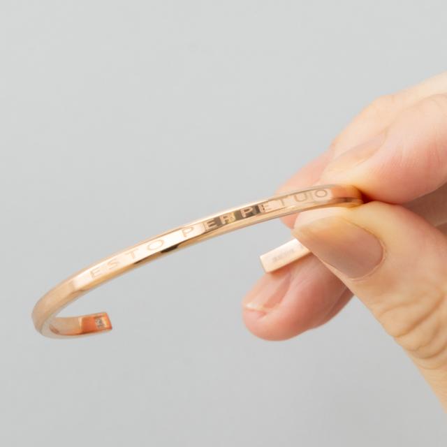 ペアバングル カップル 刻印 つけっぱなし 金属アレルギー対応 ステンレス シークレットダイヤモンド 大人 シンプル メッセージ スティールシルバーカラー ローズゴールドカラー テラグラティア Terra-gratia PairBangle gbsg133pair_5